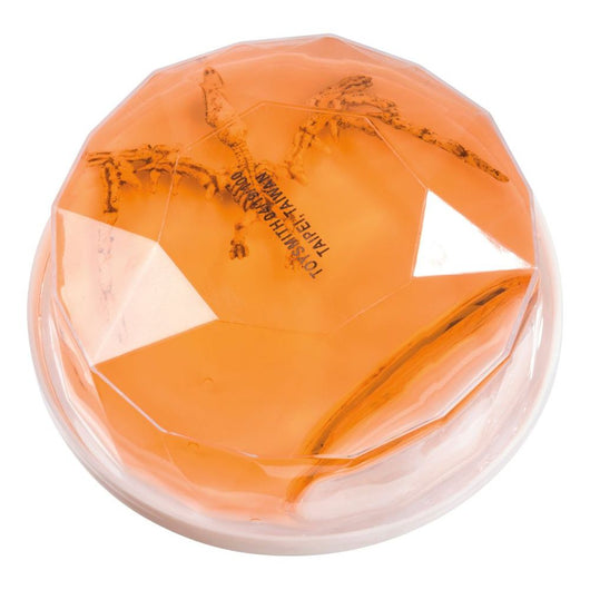 Dinosaur Fossil Putty (24)