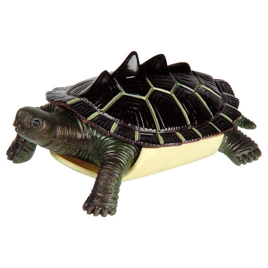 Turtle Squishimals (18)