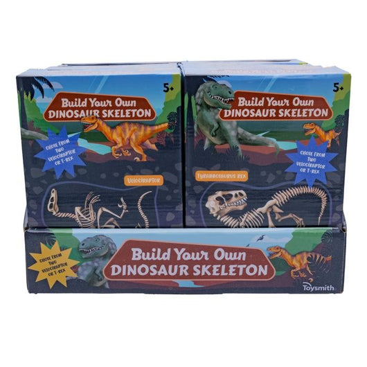 BYO Dinosaur Skeleton (8)