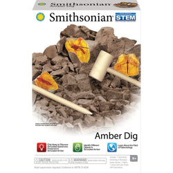 Amber Dig Value Set (6)