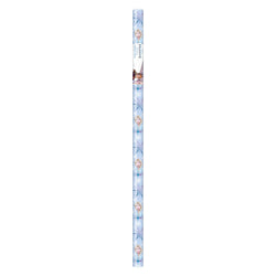 Disney Frozen 2 Gift Wrap, 30