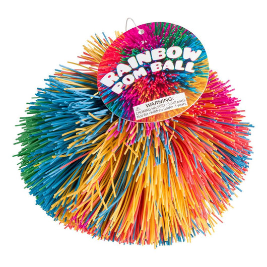 Rainbow Pom Ball (18)