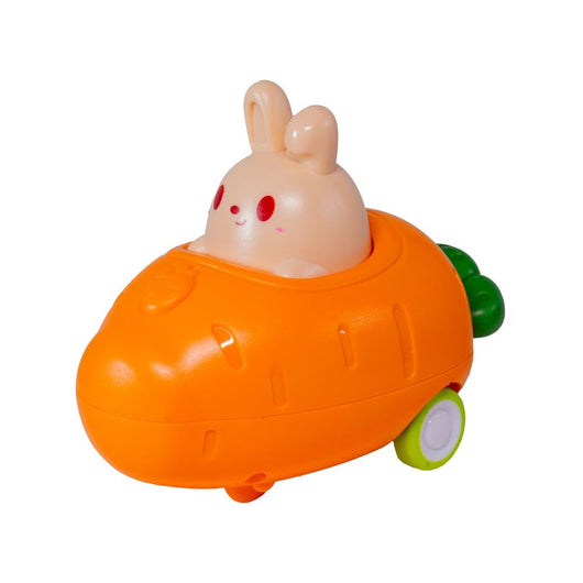 Push' N Go Bunny (12)