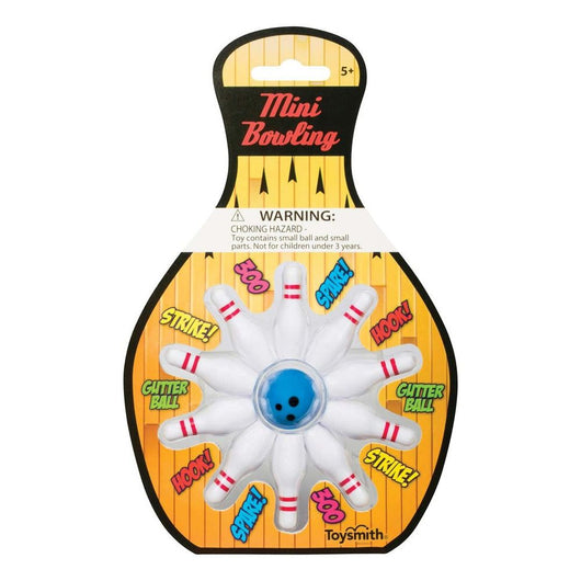 Mini Bowling (12)