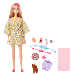 Barbie Doll and Accessories (3)
