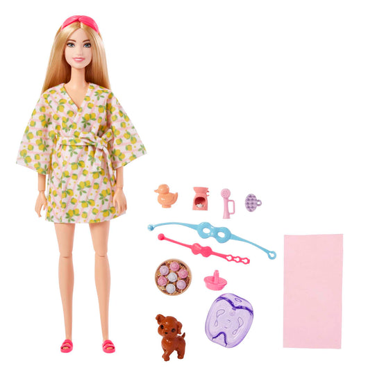 Barbie Doll and Accessories (3)