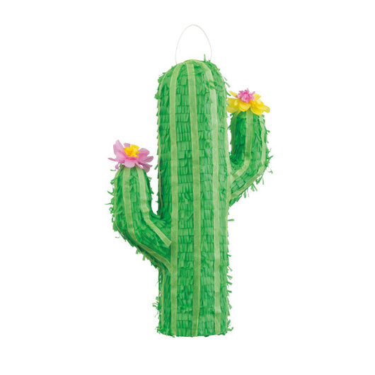 Cactus 3D Pinata