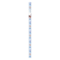 Disney Frozen 2 Gift Wrap, 30