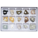 Rock Science Kit  (8)