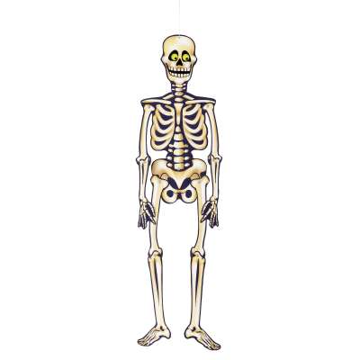 Halloween Jointed Skeleton