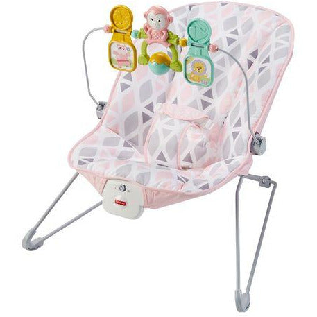 Fisher-Price Baby's Bouncer (3)