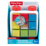 Fisher-Price Pull Along Activity Blocks (2)